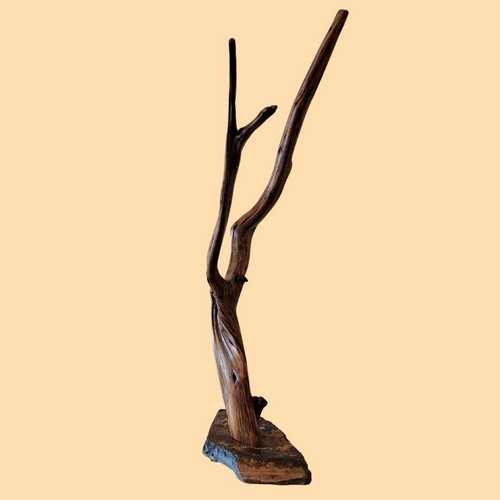 TC-012 Juniper Tree Sculpture 37